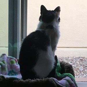 Meet your Posher, Margaret